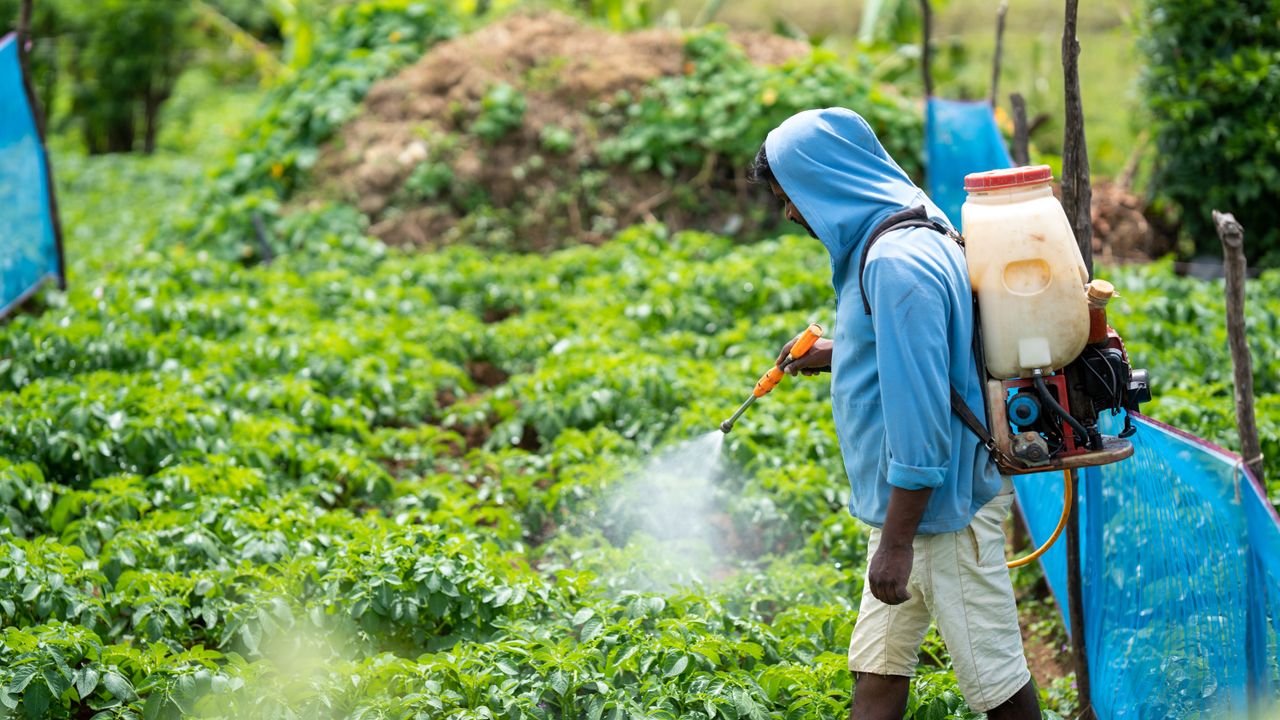 Produits phytosanitaires